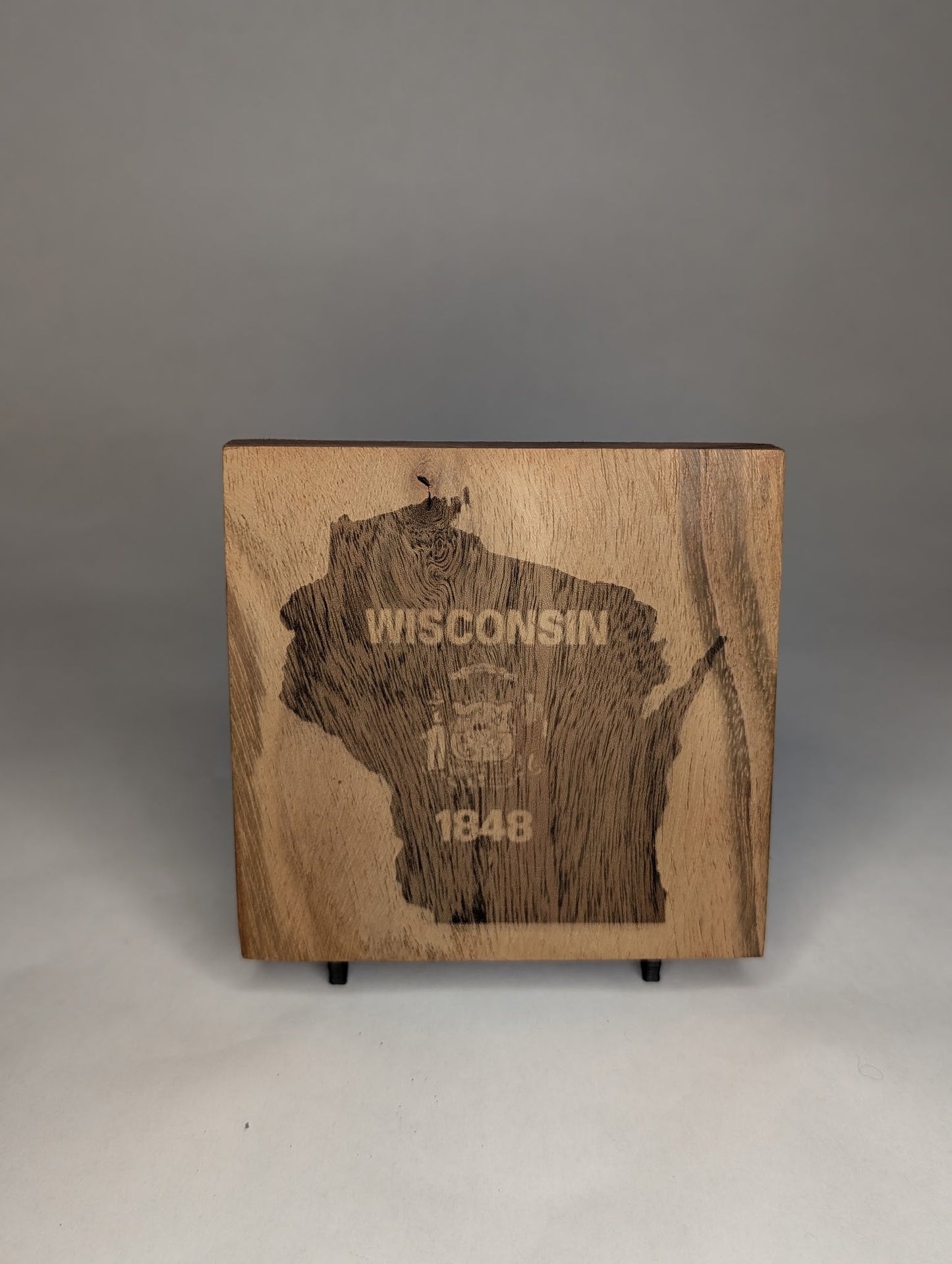 Wisconsin Square Coaster Set (4 piece)