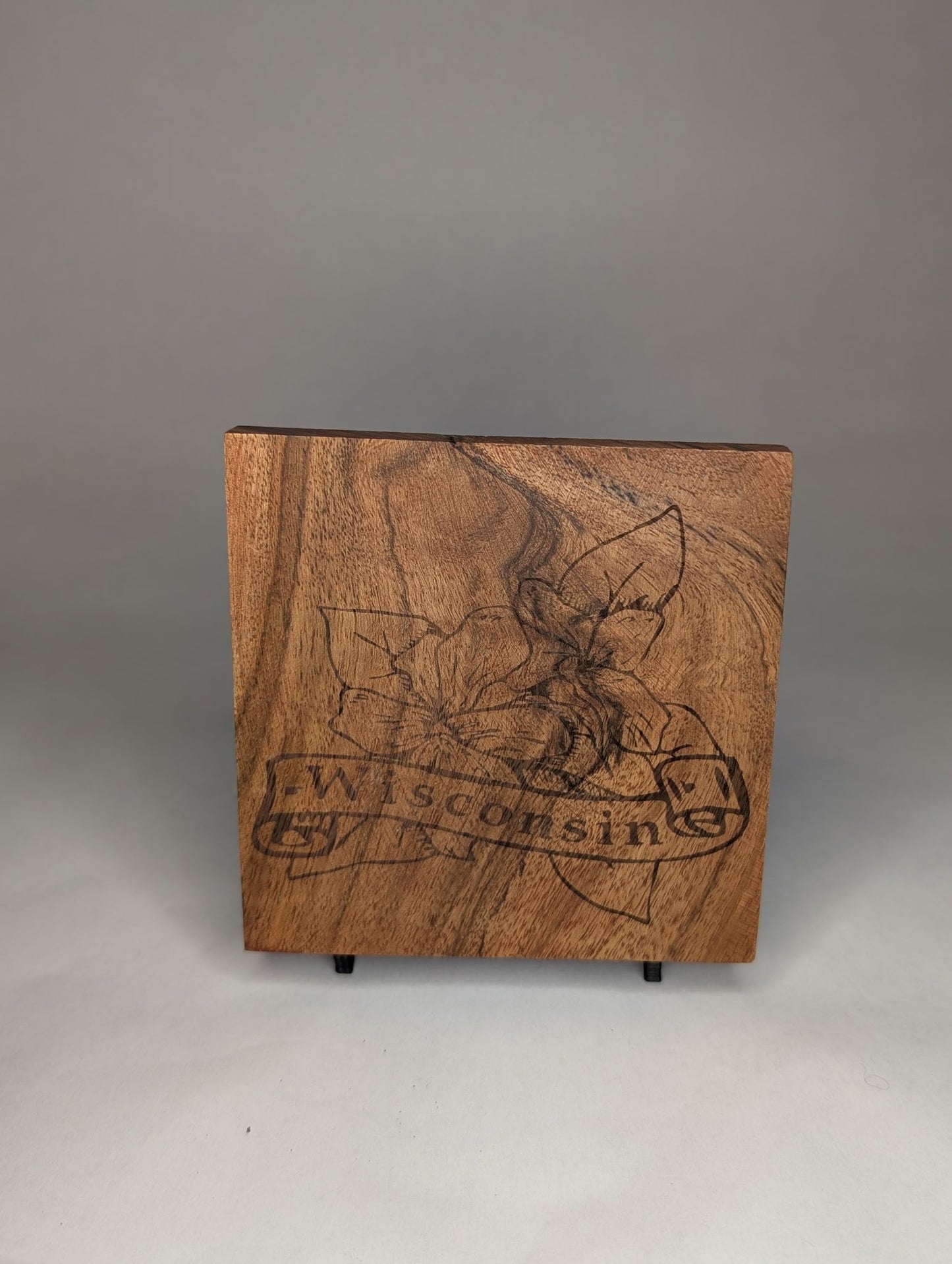 Wisconsin Square Coaster Set (4 piece)